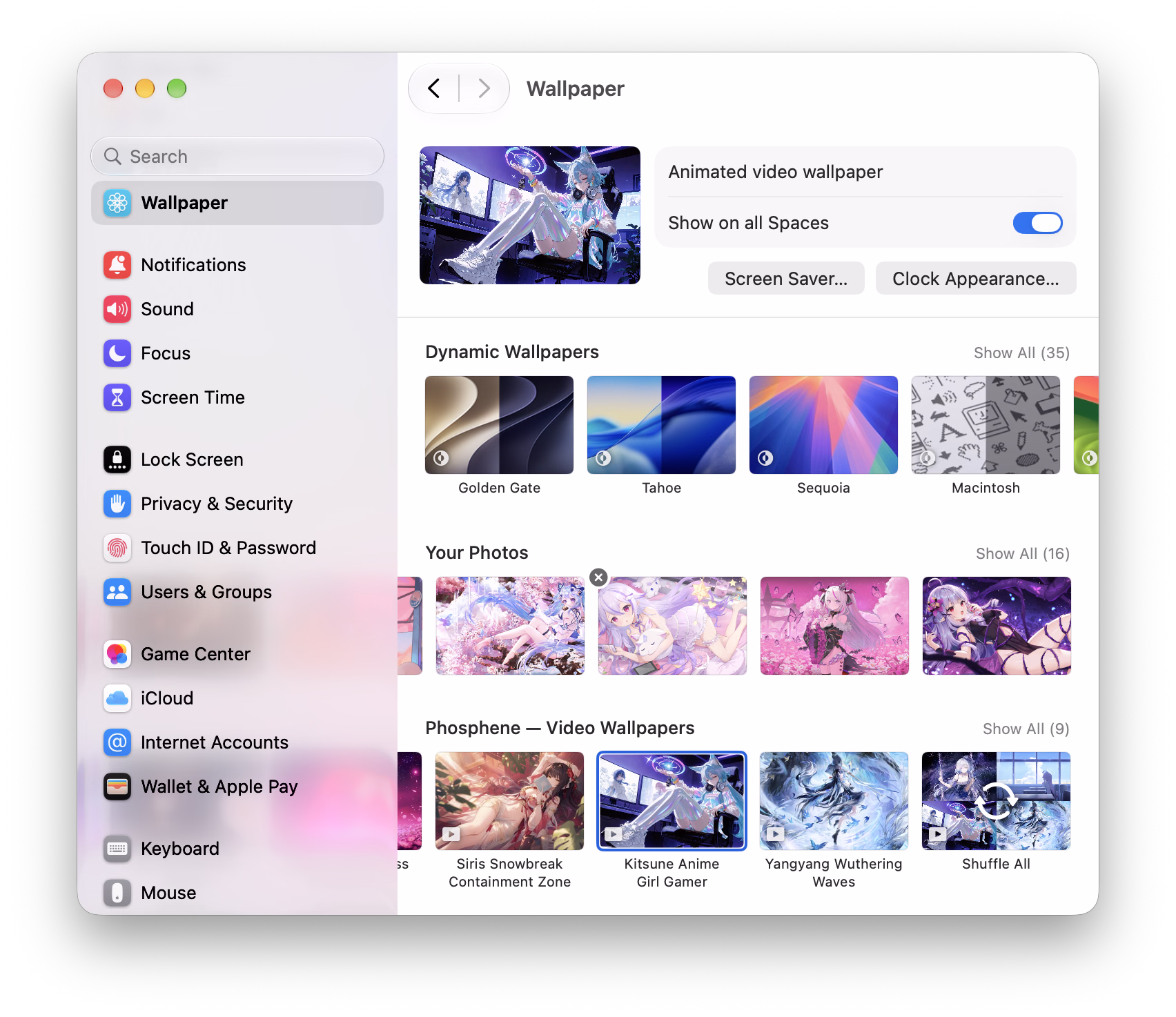 System Settings’ Wallpaper pane with the sidebar, selected video, and Phosphene’s Video Wallpapers collection